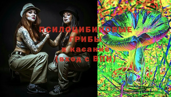 амф Приозерск