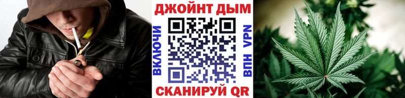 как найти наркотики  Камызяк  Шишки марихуана марихуана 